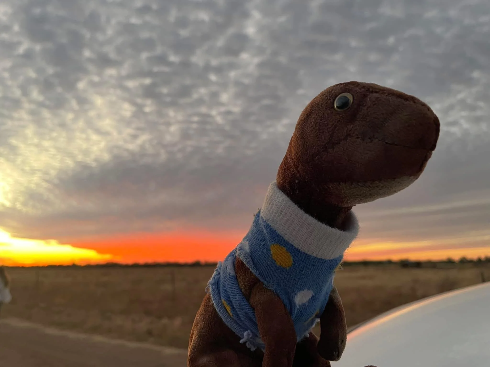 Hans plush and writing desk